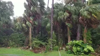 Hurricane Ian CAT4 9/28/22, 12:00 PM EDT Sarasota County, FL