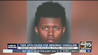 Teen apologizes for menorah vandalism