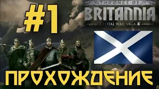 ЭПОХА ВИКИНГОВ. ПРОХОЖДЕНИЕ ЗА КИРКЕНН. TOTAL WAR SAGA: THRONES OF BRITANNIA - #1