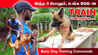 Dog Training | Basic Commands | How to Train a Puppy | Dog Training Tamil | Dogs Playing | Gsd Dog