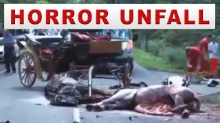 Horror Unfall Motorrad Biker und Kutsche 1 Toter 2 Pferde verendet