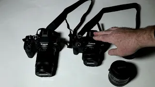 Canon EOS R100 - самая плохая камера Canon? Для кого?