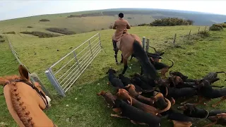 The Coakham Bloodhounds hunting human runners at Folkington Manor March 2022