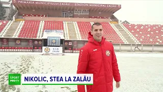 Nikolic, stea la Zalău