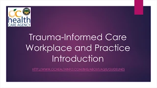 Practice Guideline on Trauma-Informed Care Workplace and Practice