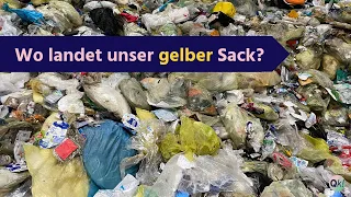 Wo landet unser gelber Sack? – Zu Besuch in der Sortieranlage MEILO♻️