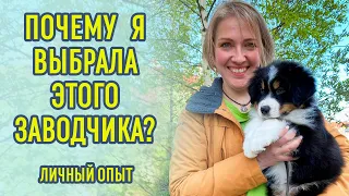 Как выбрать заводчика собак? Откровенно о моем личном опыте