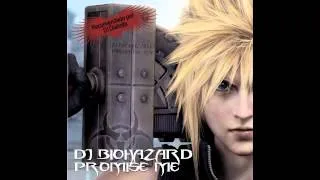 Dj Biohazard - Promise me
