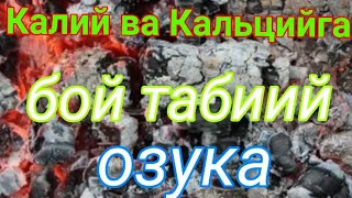 Помидор , бодринг , болгарский ва бошка экинлар учун энг зур табиий озука.