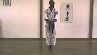 Naifanchi Sekishin Karate Jutsu