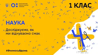 1 клас. Наука. Досліджуємо, як ми відчуваємо смак (Тиж.3:ЧТ)