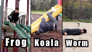 How Animals Go Down a Slide (Part 1-3) (Funny Compilation)