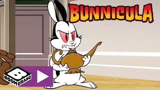 Bunnicula | Genie Lawyer | Boomerang UK 🇬🇧