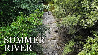 4K Late Summer River | Relaxing Nature Sounds for Sleep/Study/Meditation