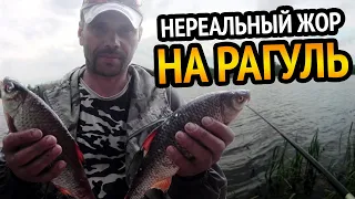 СУПЕР РЫБАЛКА В ПРОВОДКУ НА РАКУШКУ. Попали на нереальный жор.