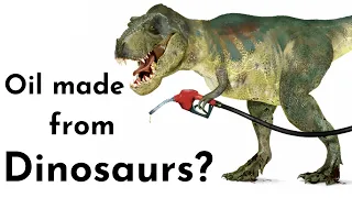 Why do People Think Oil Comes From Dinosaurs - In 30 Seconds | Zootub3