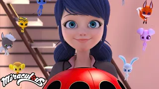 How Much Do You Know About The Miracle Box? | Miraculous Ladybug | Disney Channel UK