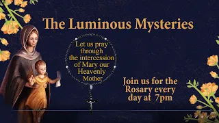 Rosary | Luminous Mysteries| Mysteries of Light | 30 May, 2024