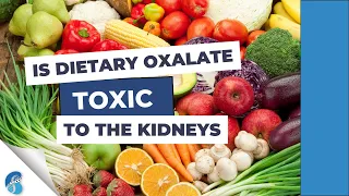 Is dietary oxalate toxic to the kidneys?