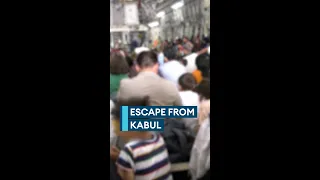 Escape from Kabul - one year on
