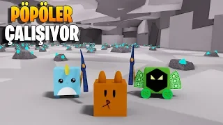 🐶 Petlerimi Eğitip Madenci Yaptım :D 🐶 | Pet Mining Simulator | Roblox Türkçe