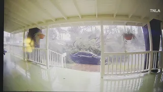 Strong Winds Cause Trees to Crash Down in Storm