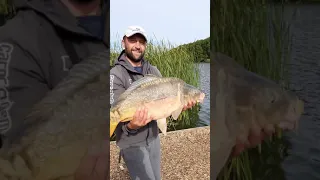 карпфишинг, карп, карпыч, ловля карпа, bigfish, carp,carp fishing, большая рыба.