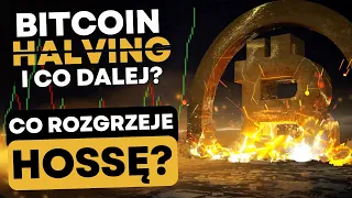 Hossa na rynku kryptowalut! Bitcoin halving zapalnik pod przyszłe wzrosty?