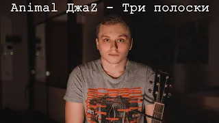 Animal ДжаZ -  Три полоски // cover by ANTON KHARITONOV