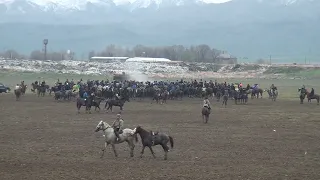 Луговой Жамбыл облысы көкпары. Тартыс деп осыны айт