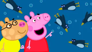 The Amazing Penguins 😮 Best of Peppa Pig 🐷 Cartoons for Children