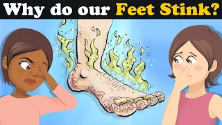 Why do our Feet Stink? + more videos | #aumsum #kids #science #education #whatif
