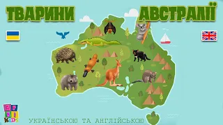 Вивчаємо ТВАРИНИ АВСТРАЛІЇ. Австралійські тварини для дітей українською та англійською мовами.