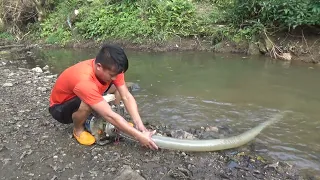 Top Amazing Wild Fishing, Unique Catch many Fish With Large Pump Sucks Water Out Of Lake