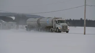 La semaine verte | Le lait des tempêtes