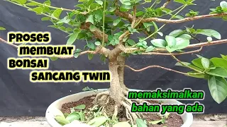 Proses membuat bonsai sancang twin/memaksimalkan bahan seadanya#sancang@BoNSai_RANGGER888