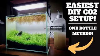 HOW TO: EASY DIY CO2 SETUP FOR PLANTED NANO TANK AQUARIUM - ONE BOTTLE METHOD