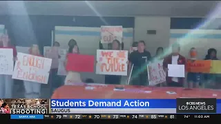 Local students join nationwide walkout in support of stricter gun control