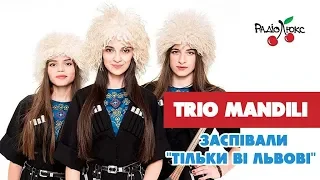 Вперше співають українською! Trio Mandili співають "Тілько ві Львові"