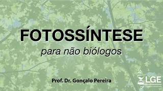 FOTOSSÍNTESE para não biólogos