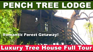 Luxury, Romantic Tree House - Full Tour! Pench Tree Lodge by Pugdundee Safaris @ Pench National Park