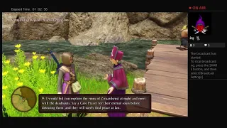 Dragon Quest XI Side Quest: A Path to Paradise