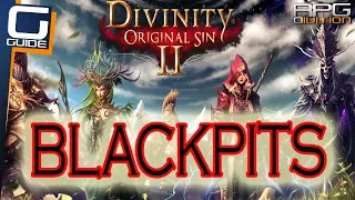 DIVINITY ORIGINAL SIN 2 - Blackpits Walkthrough (Pillar Puzzle, Damaged Oil Pump, Boss Fight, Traps)