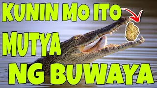 MUTYA GINTO SA BUWAYA | KEVIN TV OFFICIAL