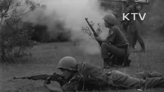 South Korean ROK Soldiers in the Vietnam War