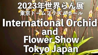 2023年世界らん展 東京ドームプリズムホール international orchid and flower show Toky #orchid #orchidsチャンネル登録よろしくお願いします