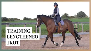 Training A Horse To Lengthen In Trot