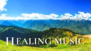 Healing Music For The Heart And Blood Vessels 🌿 Helps Reduce Stress, Anxiety And Depression