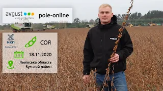 Збирання сої на pole-online