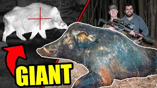 The Hunt For HOGZILLA | Ft. Tanner Stay